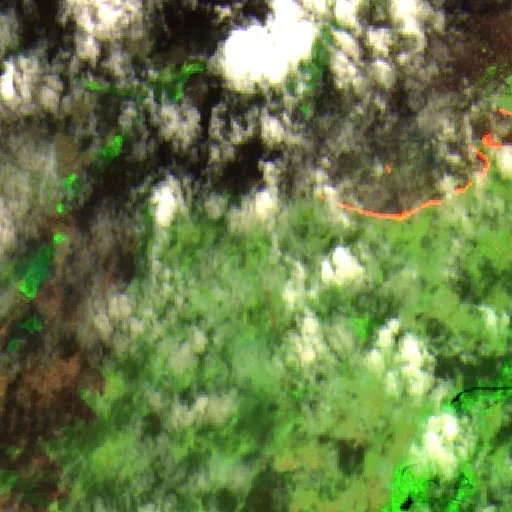 Incendio cerca de Formoso do Araguaia (Aug 4) — Sentinel-2 SWIR (fuego)