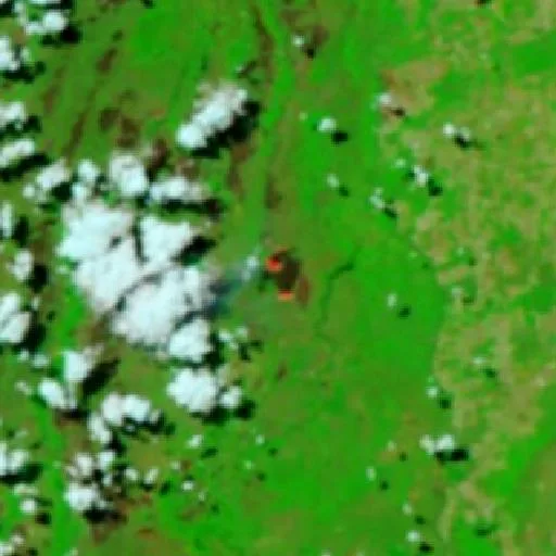 Wildfire near Formoso do Araguaia (Aug 8) — NASA satellite