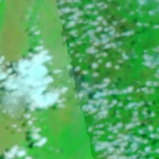 Incendio cerca de Formoso do Araguaia (24 oct) — NASA satellite