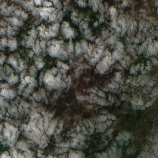Incendio cerca de Formoso do Araguaia (23 jul · S #2) — Sentinel-2 true color