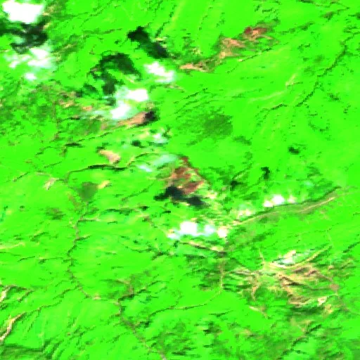 Incendio cerca de Forni di Sotto — Sentinel-2 SWIR (fuego)