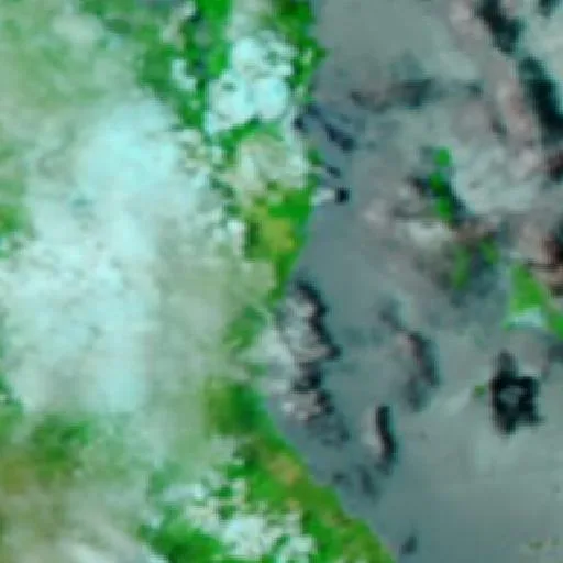 Forrest Beach Bushfire — NASA satellite