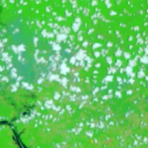 Incendio cerca de Fortaleza (9 oct) — NASA satellite