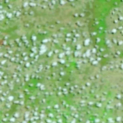 Incendio cerca de Gameleiras — NASA satellite