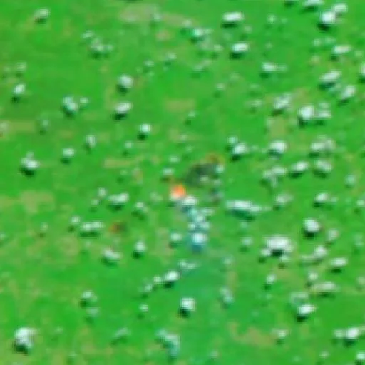 Incendio cerca de General Jose Maria Bruguez (26 sep · NE) — NASA satellite