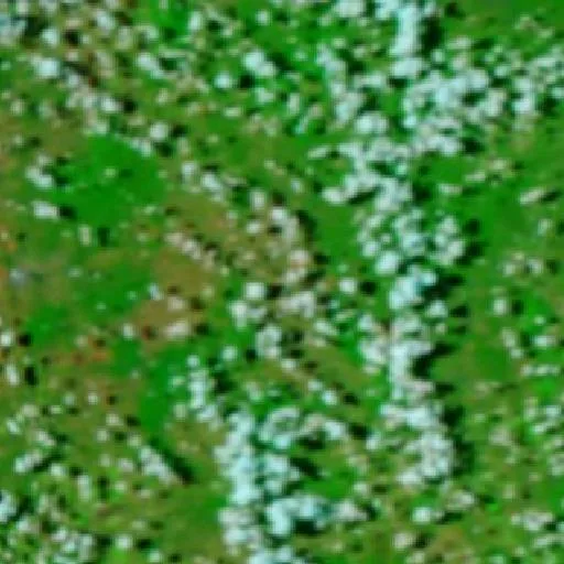 Incendio cerca de Gigoomgan — NASA satellite