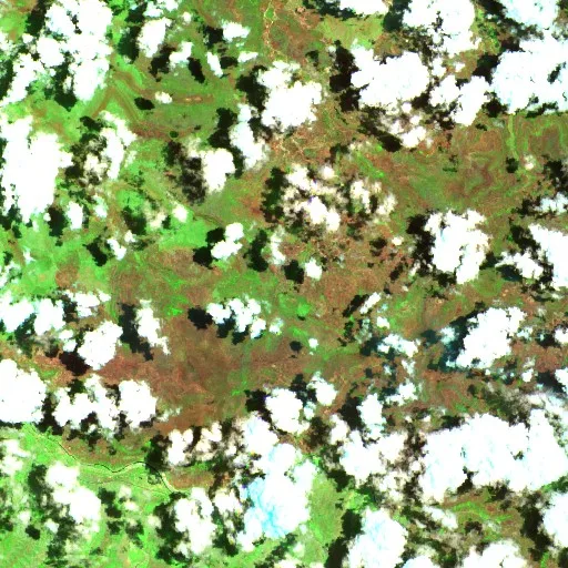 Ginger Creek Bushfire — Sentinel-2 SWIR (fuego)