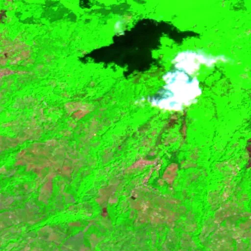 Wildfire near Gizzeria — Sentinel-2 SWIR (fuego)
