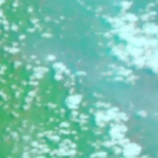 Wildfire near Glumbang (Oct 5) — NASA satellite