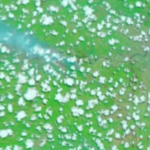 Wildfire near Glumbang — NASA satellite