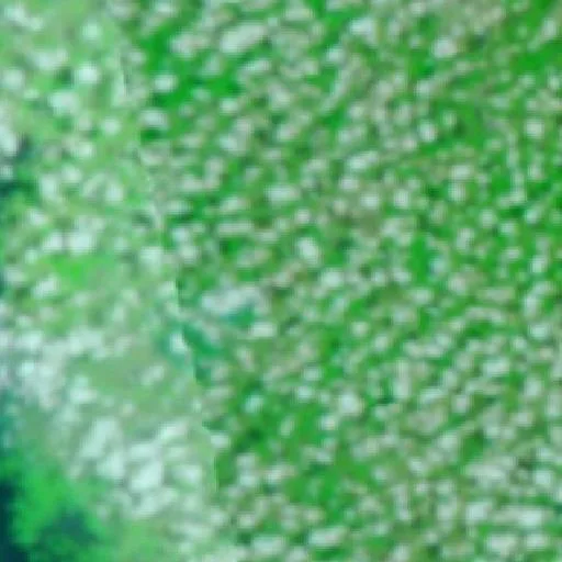 Wildfire near Goianésia do Pará — NASA satellite