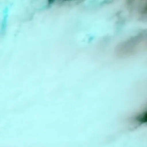 Incendio cerca de Gowrie Station — NASA satellite