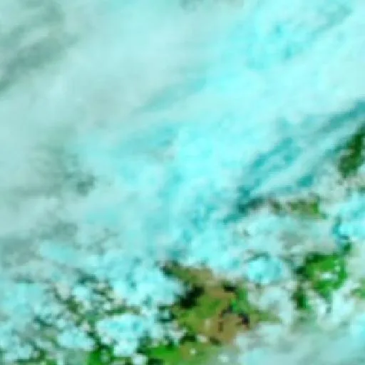 Gregors Creek Bushfire — NASA satellite