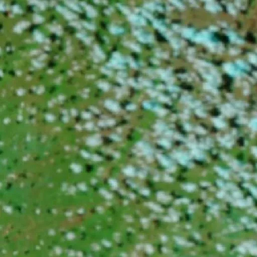 Incendio cerca de Gregory — NASA satellite