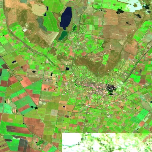 Griffith Bushfire (undated #2) — Sentinel-2 SWIR (fuego)