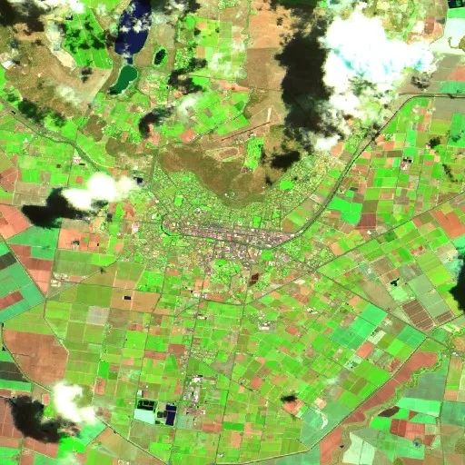 Griffith Bushfire (undated · E) — Sentinel-2 SWIR (fuego)
