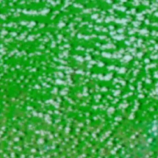 Wildfire near Guaíba (Oct 7) — NASA satellite