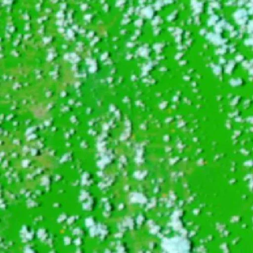 Wildfire near Guajará (Oct 5 · W) — NASA satellite