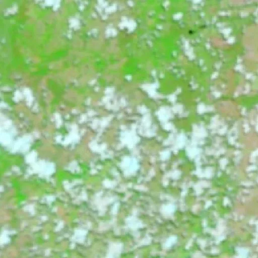 Wildfire near Guarani de Goiás — NASA satellite