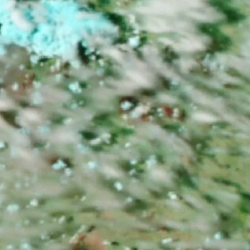 Gunibuy Community Bushfire — NASA satellite