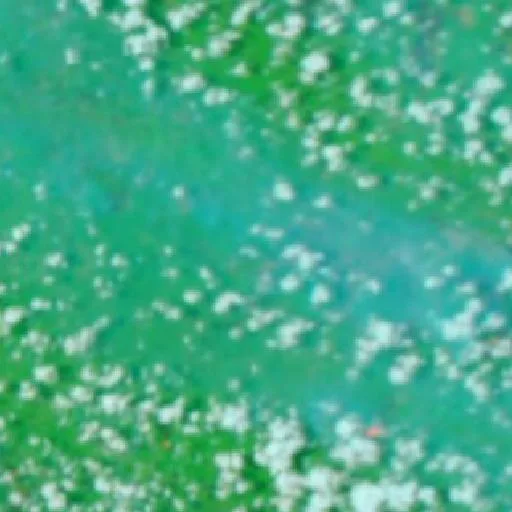 Incendio cerca de Gunungmenang — NASA satellite