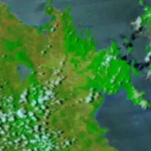 Incendio cerca de Hamilton Plains — NASA satellite
