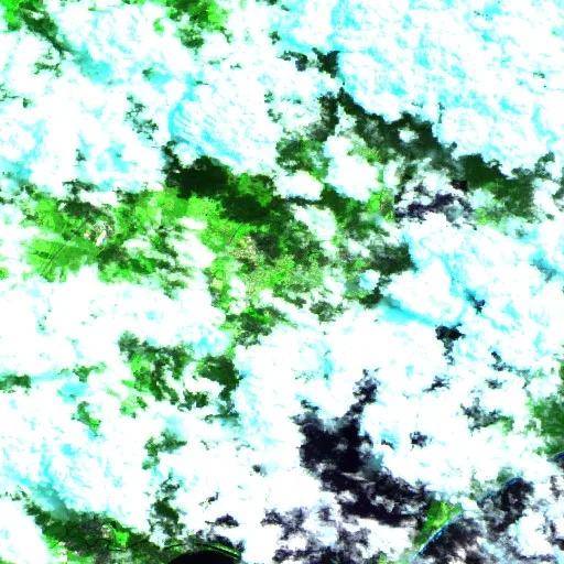 Hamlyn Terrace Bushfire — Sentinel-2 SWIR (fuego)