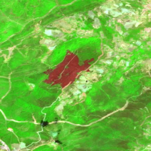 Wildfire near Hammam Beni Salah — Sentinel-2 SWIR (fuego)