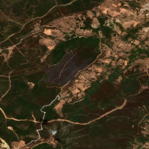 Wildfire near Hammam Beni Salah — Sentinel-2 true color
