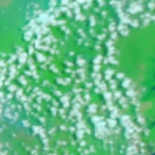 Incendio cerca de Hampang — NASA satellite