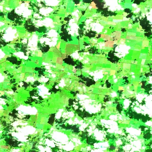 Henty Bushfire — Sentinel-2 SWIR (fuego)
