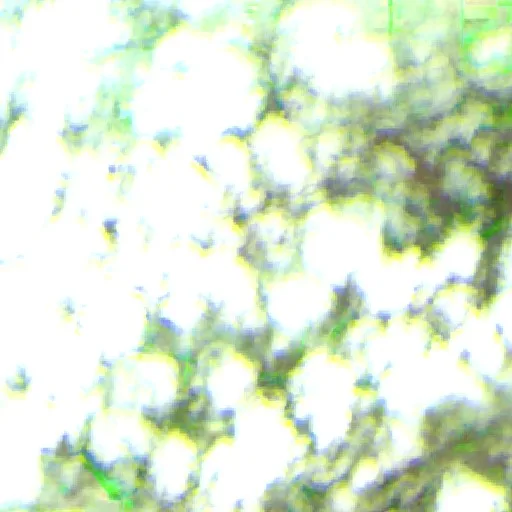 Wildfire near Huatabampo — Sentinel-2 SWIR (fuego)