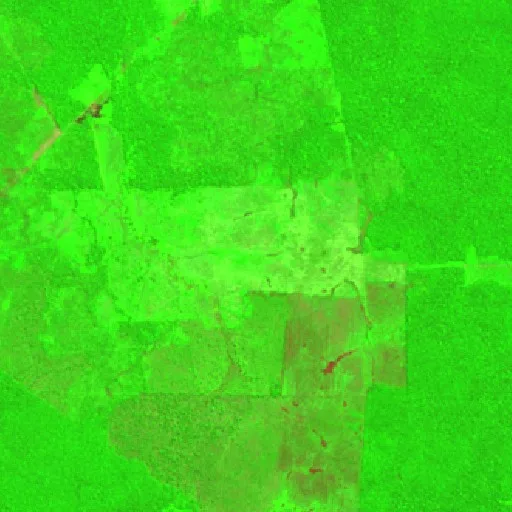 Wildfire near Humaitá — Sentinel-2 SWIR