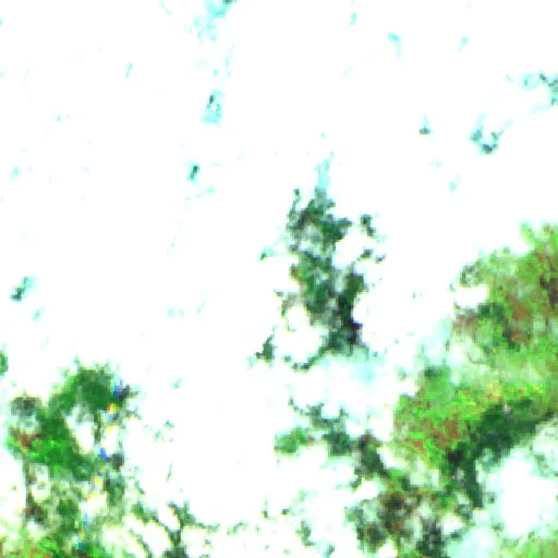 Wildfire near Ialibu — Sentinel-2 SWIR (fuego)