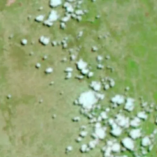 Incendio cerca de Ibitiara — NASA satellite