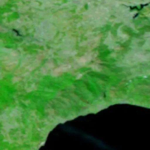 Wildfire near Igualeja — NASA satellite