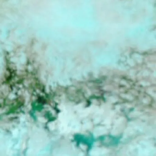 Wildfire near Ilaga (Oct 17) — NASA satellite
