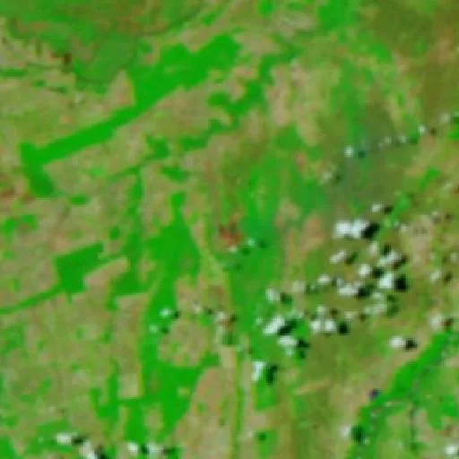 Wildfire near Indianópolis — NASA satellite