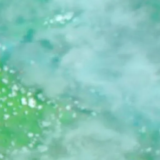 Incendio cerca de Indralaya — NASA satellite