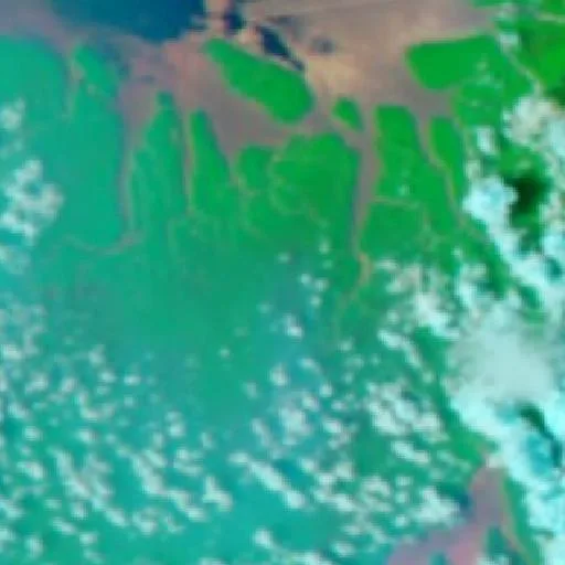 Wildfire near Irarututiga (Oct 24) — NASA satellite