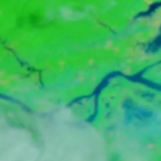 Wildfire near Itacoatiara — NASA satellite