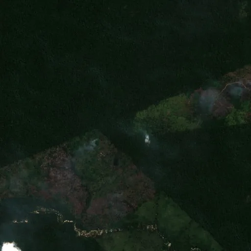 Incendio cerca de Itaituba (6 ago) — Sentinel-2 true color