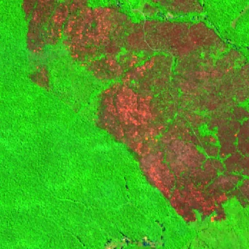 Incendio cerca de Itaituba (20 ago) — Sentinel-2 SWIR (fuego)