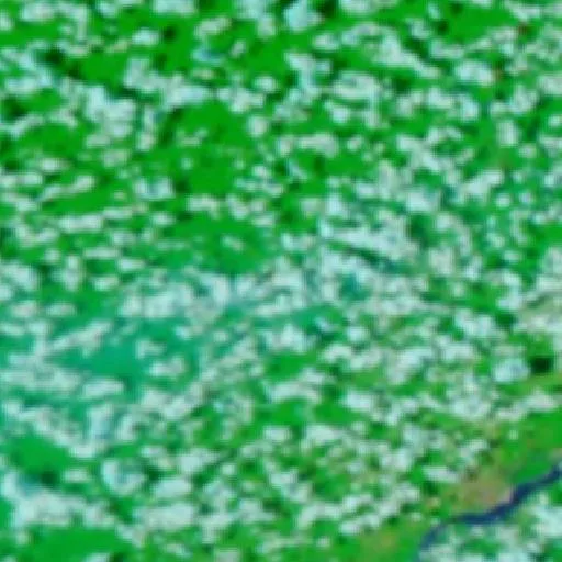 Incendio cerca de Itaituba (6 oct) — NASA satellite