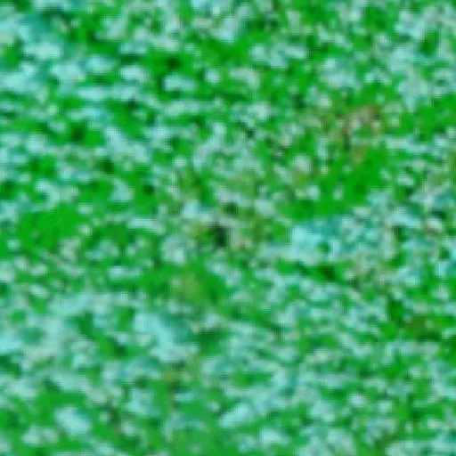 Wildfire near Ituni — NASA satellite
