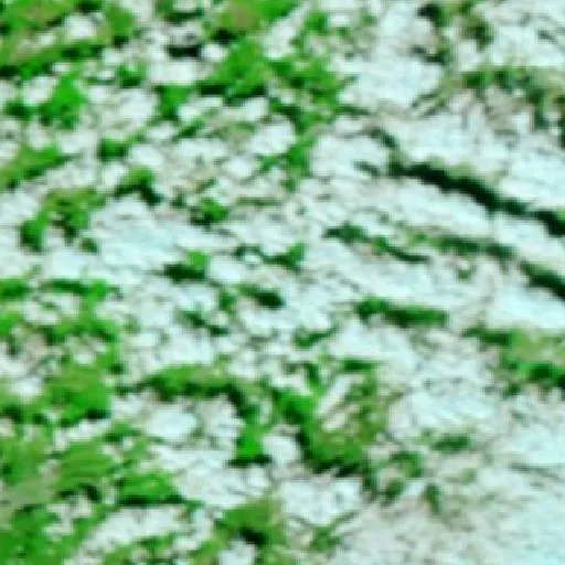 Incendio cerca de Ivaylovgrad — NASA satellite