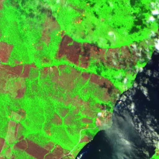 Wildfire near Jacareacanga (Aug 31) — Sentinel-2 SWIR (fuego)