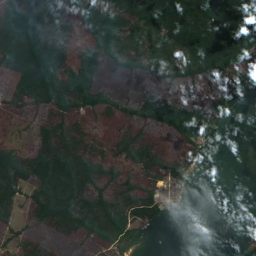 Wildfire near Jacareacanga (Aug 31) — Sentinel-2 true color