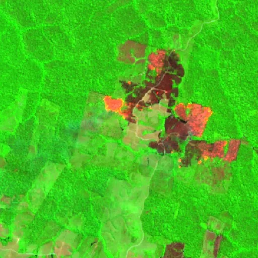 Incendio cerca de Jacareacanga (2 sep) — Sentinel-2 SWIR (fuego)