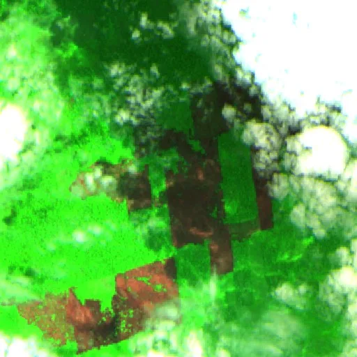Wildfire near Jacynópolis — Sentinel-2 SWIR (fuego)